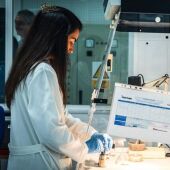 Galicia liderou en novembro a caída do desemprego en España