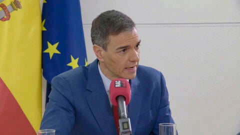 El presidente del Gobierno, Pedro S&aacute;nchez