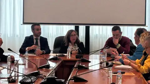 Mercedes Morán se reúne con OPAS y el sector porcino para abordar la situación de la Peste Porcina Africana Mercedes Morán se reúne con OPAS y el sector porcino para abordar la situación de la Peste Porcina Africana