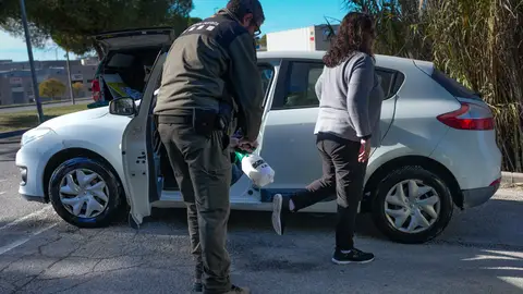Agentes Rurales refuerzan la señalización en los espacios naturales para contener la peste porcina africana Agentes Rurales refuerzan la señalización en los espacios naturales para contener la peste porcina africana/ EFE/ Enric Fontcuberta