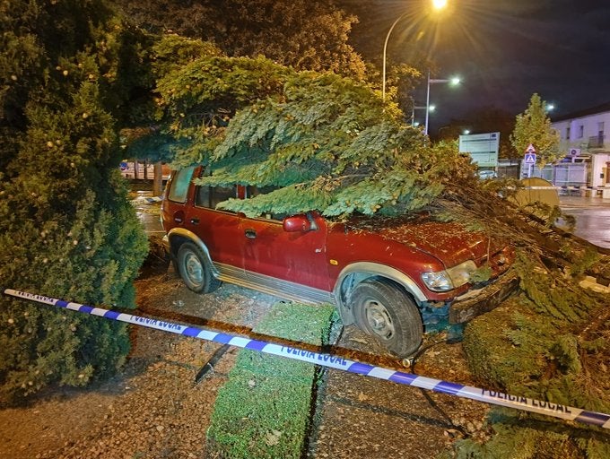 Un vehículo se empotra en una rotonda en Ciudad Real y el conductor da positivo en alcohol Un vehículo se empotra en una rotonda en Ciudad Real y el conductor da positivo en alcohol
