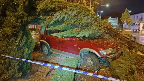 Vehículo que se empotró en la rotonda Vehículo que se empotró en la rotonda