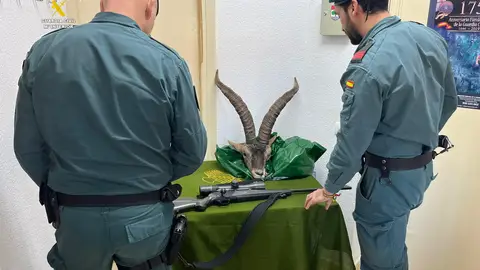 Guardia Civil investiga a dos personas por cazar ilegalmente un macho de cabra montés en Culla Guardia Civil investiga a dos personas por cazar ilegalmente un macho de cabra montés en Culla