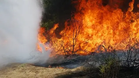 O PSOE denuncia que a Xunta non aprobou en prazo o Pladiga O PSOE denuncia que a Xunta non aprobou en prazo o Pladiga