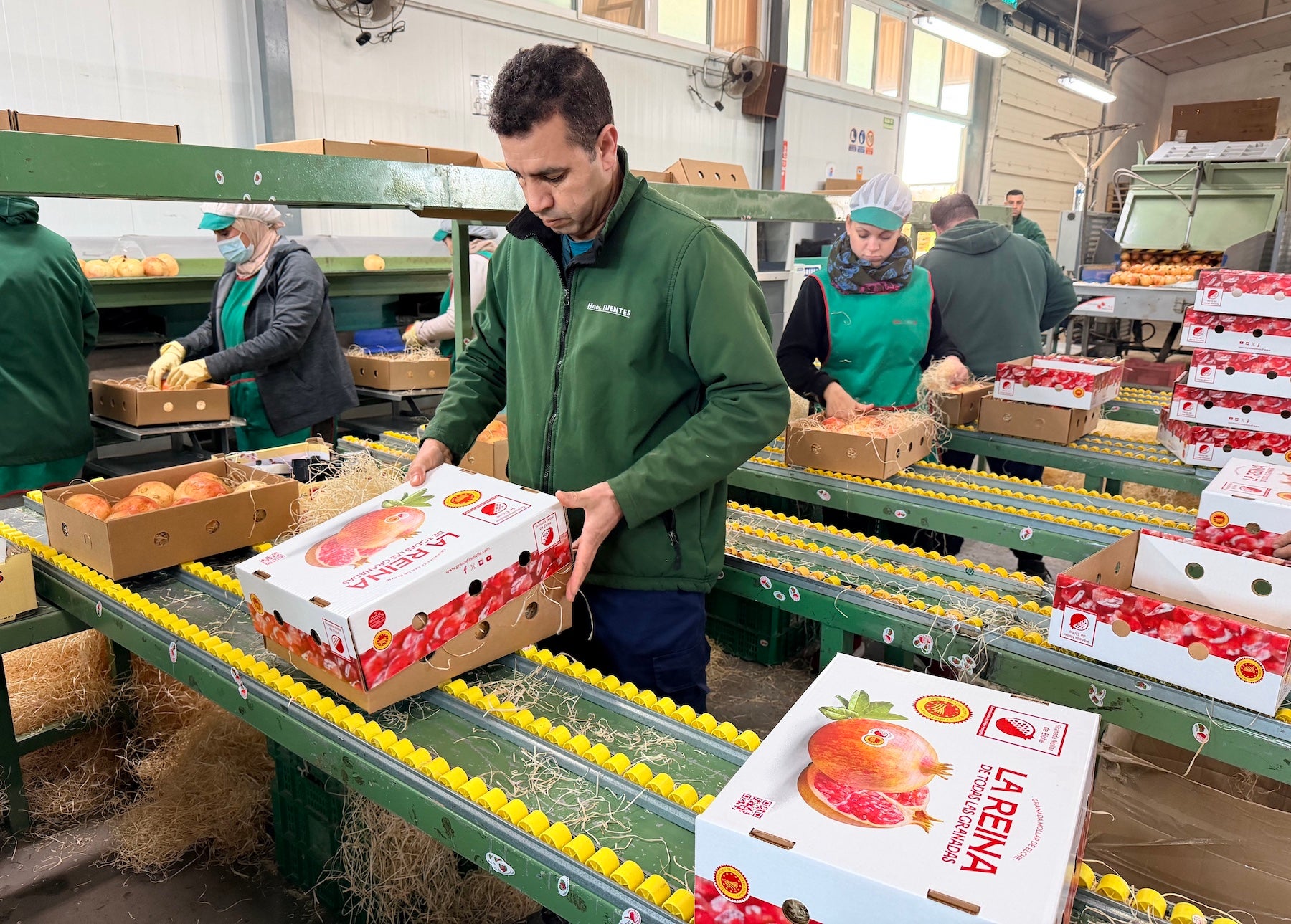 La DOP Granada Mollar de Elche envía cajas de ese fruto a una docena de países y más de 20 provincias españolas La DOP Granada Mollar de Elche envía cajas de ese fruto a una docena de países y más de 20 provincias españolas