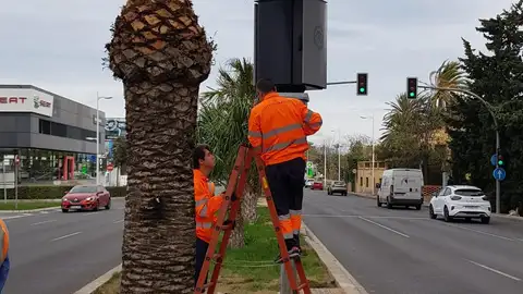 Operarios junto a los radares Operarios junto a los radares