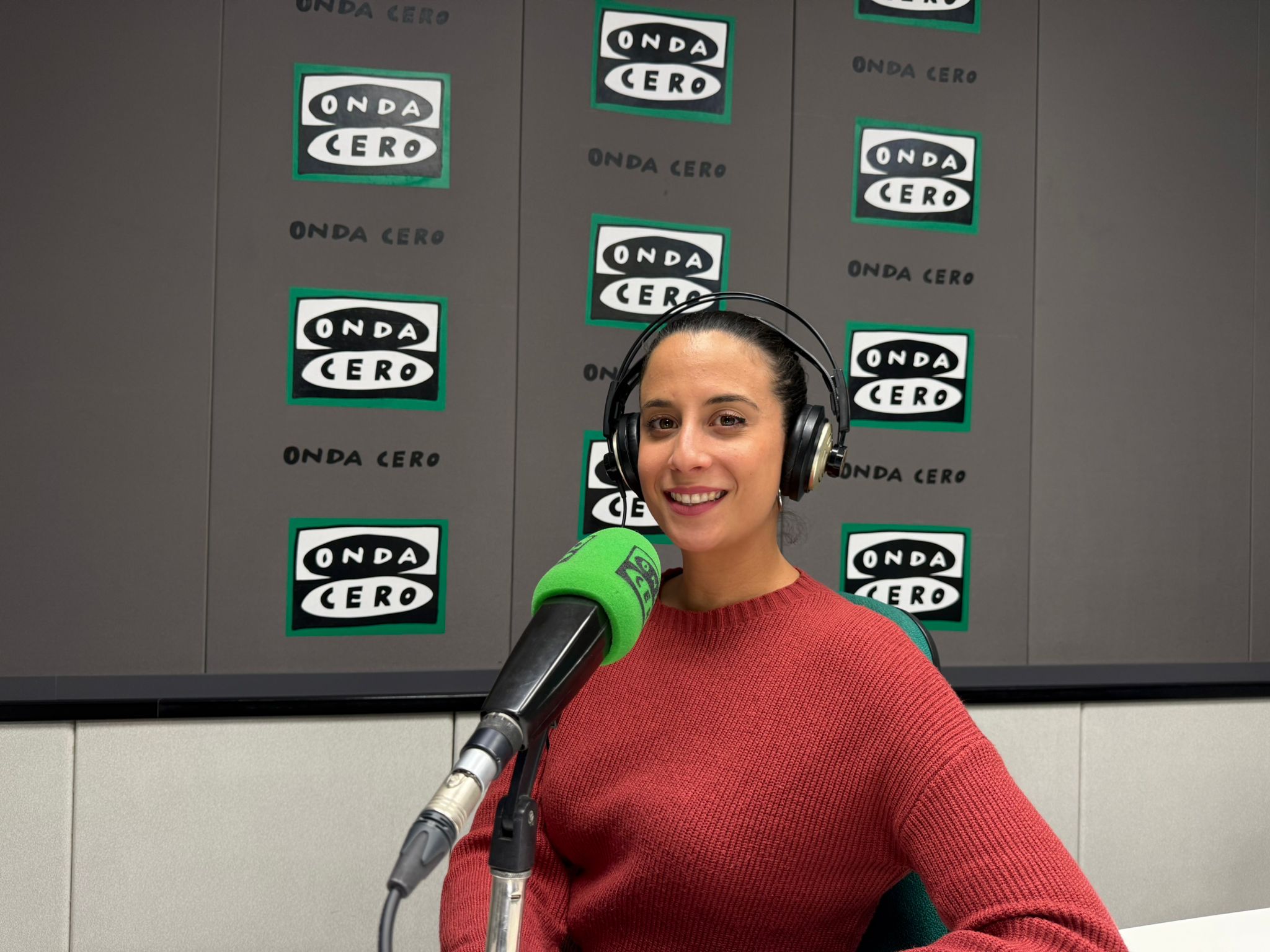 Acoso en las empresas: Cómo debe actuar la empresa y qué obligaciones legales tiene ante un caso de acoso Acoso en las empresas: Cómo debe actuar la empresa y qué obligaciones legales tiene ante un caso de acoso