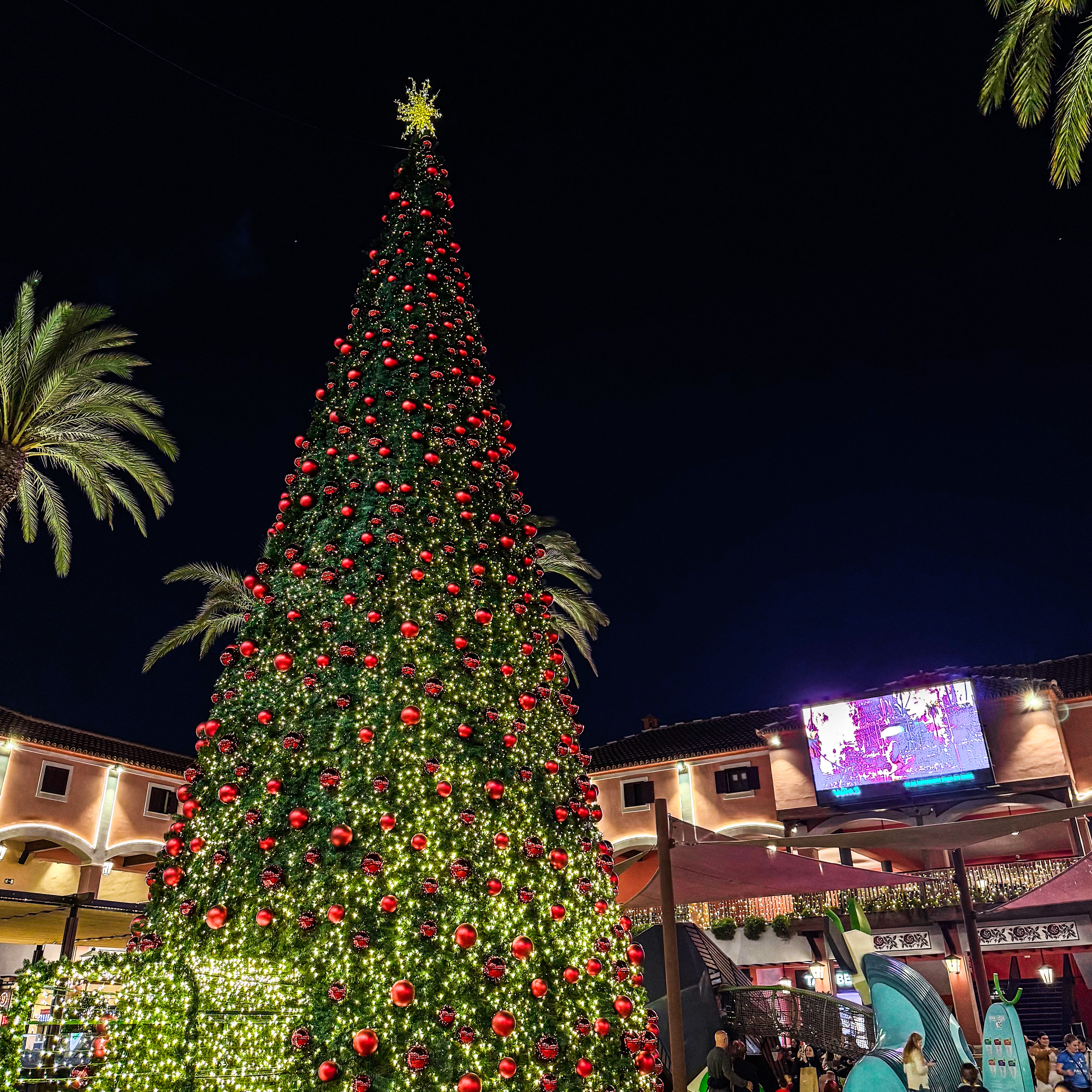 Plaza Mayor estrena su programación navideña uniendo artesanía, ocio familiar y solidaridad Plaza Mayor estrena su programación navideña uniendo artesanía, ocio familiar y solidaridad