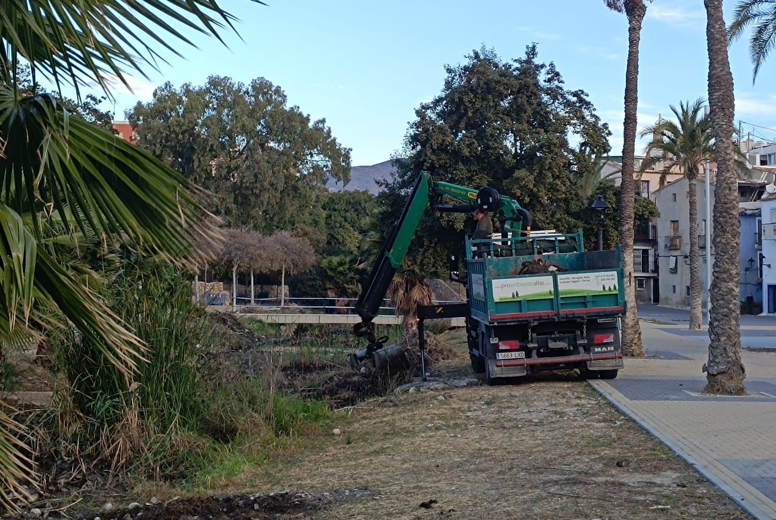 Villajoyosa retira vegetación invasora en el cauce urbano del río Amadorio para mejorar la seguridad, biodiversidad y limpieza del entorno Villajoyosa retira vegetación invasora en el cauce urbano del río Amadorio para mejorar la seguridad, biodiversidad y limpieza del entorno