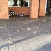 Sin techo Ciudad Real