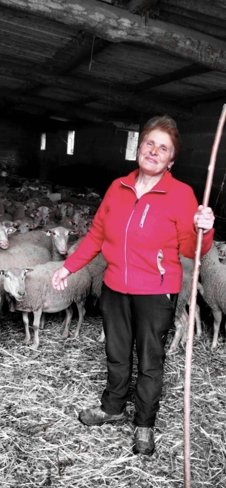 A Deputación adícalle o 8 de decembro ás mulleres que traballan no sector agrogandeiro A Deputación adícalle o 8 de decembro ás mulleres que traballan no sector agrogandeiro