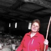 A Deputación adícalle o 8 de decembro ás mulleres que traballan no sector agrogandeiro