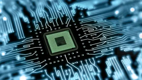 Imagen de archivo planta