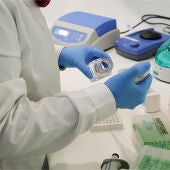 Investigación 