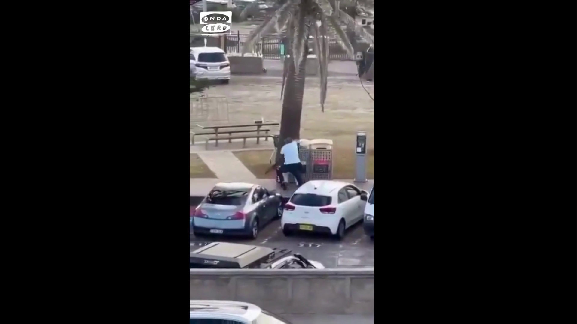 El vídeo del héroe de Bondi Beach: un hombre se abalanza contra un atacante en pleno tiroteo y le quita el arma El vídeo del héroe de Bondi Beach: un hombre se abalanza contra un atacante en pleno tiroteo y le quita el arma