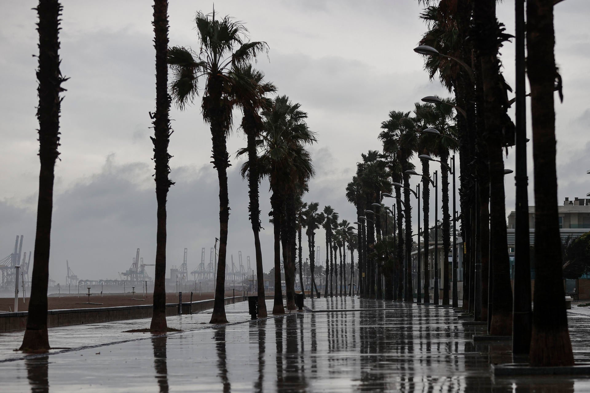 El desarrollo de tormentas en tierra esta tarde-noche de domingo y la próxima madrugada puede dar lugar al momento de más adversidad El desarrollo de tormentas en tierra esta tarde-noche de domingo y la próxima madrugada puede dar lugar al momento de más adversidad
