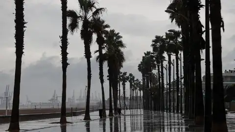 El desarrollo de tormentas en tierra esta tarde-noche de domingo y la próxima madrugada puede dar lugar al momento de más adversidad El desarrollo de tormentas en tierra esta tarde-noche de domingo y la próxima madrugada puede dar lugar al momento de más adversidad