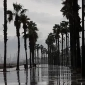 El desarrollo de tormentas en tierra esta tarde-noche de domingo y la próxima madrugada puede dar lugar al momento de más adversidad El desarrollo de tormentas en tierra esta tarde-noche de domingo y la próxima madrugada puede dar lugar al momento de más adversidad