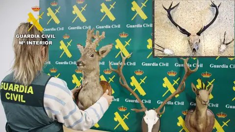 Desmantelado un punto de venta de cocaína en Liébana Desmantelado un punto de venta de cocaína en Liébana