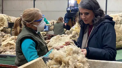 Irene de Miguel apuesta por fortalecer el cooperativismo extremeño Irene de Miguel apuesta por fortalecer el cooperativismo extremeño