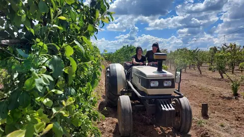 La Junta abona casi 91 millones de euros en diversos pagos de la PAC a 36.500 agricultores y ganaderos extremeños La Junta abona casi 91 millones de euros en diversos pagos de la PAC a 36.500 agricultores y ganaderos extremeños