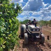 La Junta abona casi 91 millones de euros en diversos pagos de la PAC a 36.500 agricultores y ganaderos extremeños