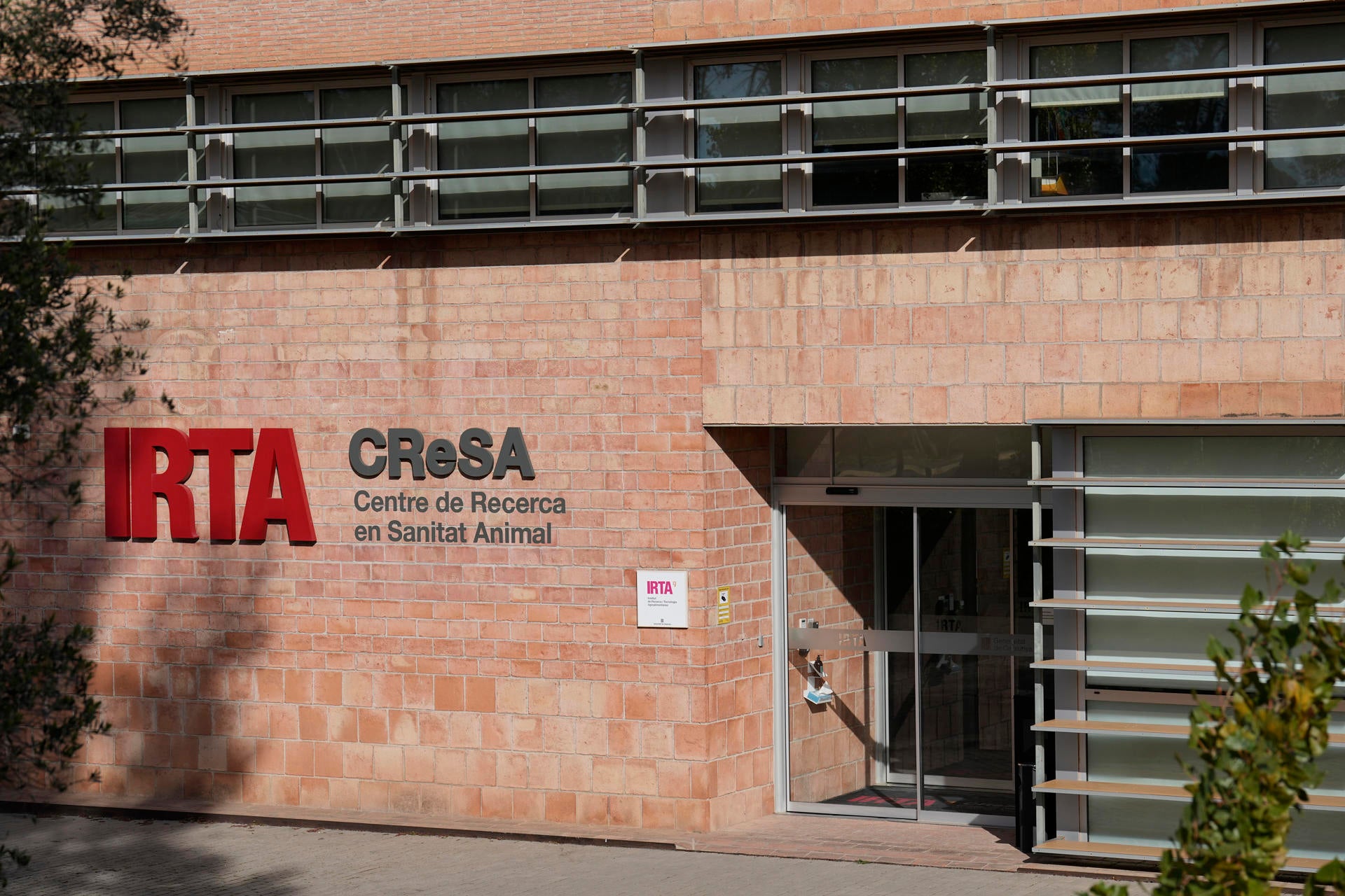 Los Mossos y la Guardia Civil registran el laboratorio investigado por la posible fuga de peste porcina Los Mossos y la Guardia Civil registran el laboratorio investigado por la posible fuga de peste porcina