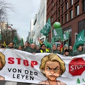 Agricultores alicantinos denuncian el "abandono absoluto" del campo por parte de la Unión Europea Agricultores alicantinos denuncian el "abandono absoluto" del campo por parte de la Unión Europea