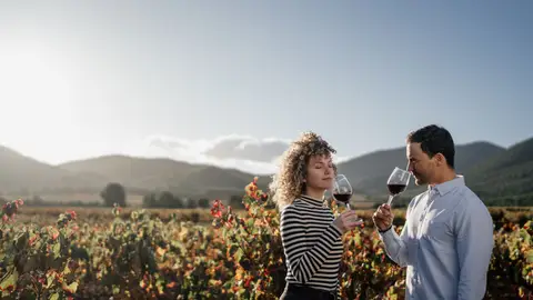Viñedos de Bullas Viñedos de Bullas