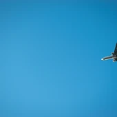 AirAdvisor explica los derechos por retraso de vuelo, la compensación y cómo obtenerla AirAdvisor explica los derechos por retraso de vuelo, la compensación y cómo obtenerla