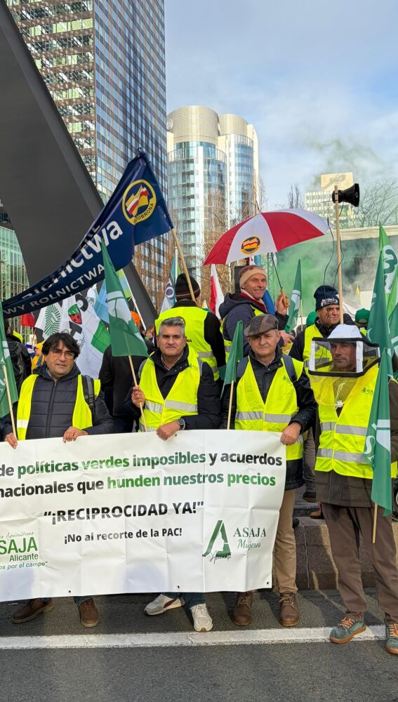 Agricultores alicantinos denuncian el "abandono absoluto" del campo por parte de la Unión Europea