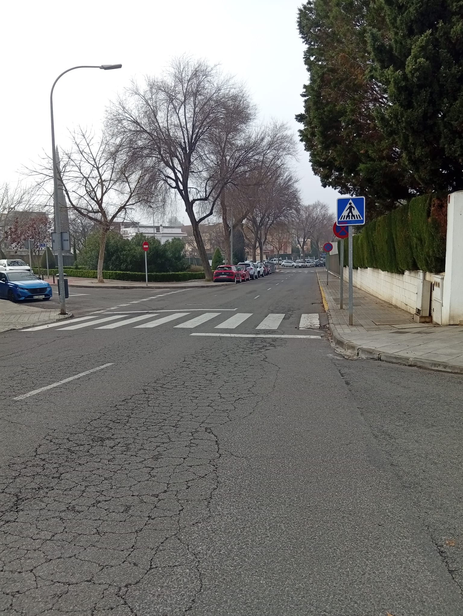 Los vecinos de los Rosales reclaman más seguridad ante el aumento de robos y hurtos Los vecinos de los Rosales reclaman más seguridad ante el aumento de robos y hurtos