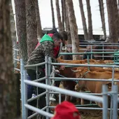 Feria ganadera Feria ganadera