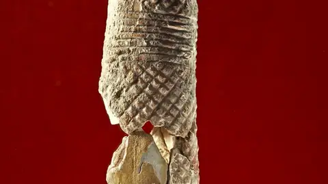 La dama de marfil La dama de marfil