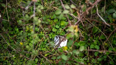 Cerca de 500 voluntarios caracterizan más de 210 residuos de basuraleza en 27 espacios naturales de Extremadura Cerca de 500 voluntarios caracterizan más de 210 residuos de basuraleza en 27 espacios naturales de Extremadura