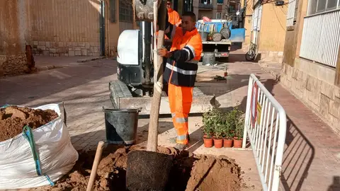 130 nuevos alcorques en diferentes calles de la ciudad que carecían de arbolado 130 nuevos alcorques en diferentes calles de la ciudad que carecían de arbolado
