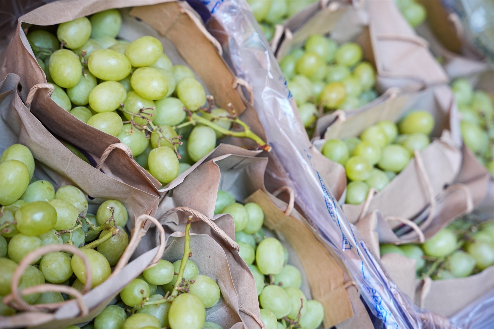 El precio de las uvas se dispara en vísperas de Nochevieja: un 40% más caras según Facua El precio de las uvas se dispara en vísperas de Nochevieja: un 40% más caras según Facua