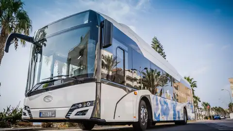 Roquetas de Mar licita un nuevo servicio de transporte urbano con una inversión de más de 15 millones de euros Roquetas de Mar licita un nuevo servicio de transporte urbano con una inversión de más de 15 millones de euros
