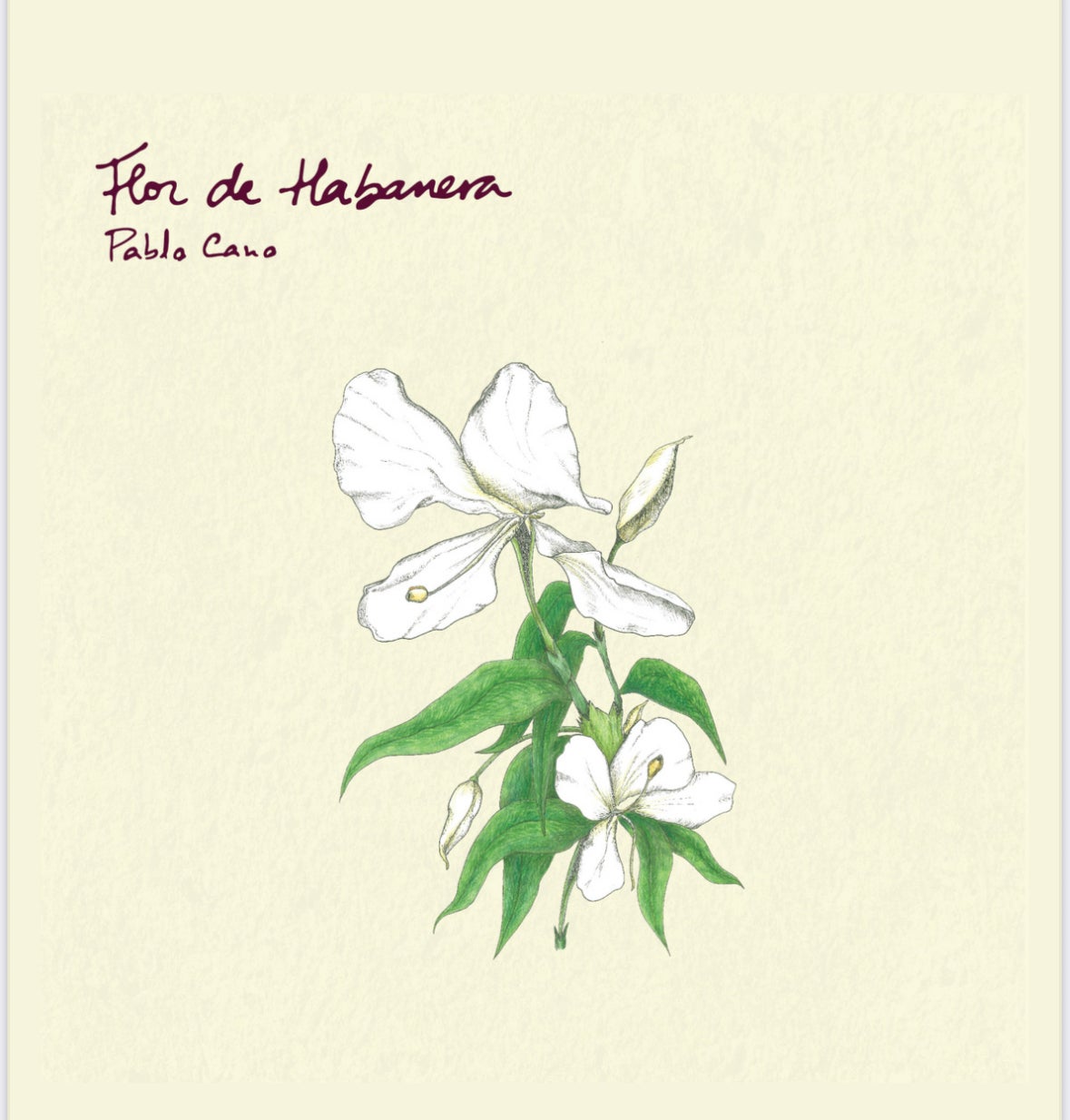 Pablo Cano y su "Flor de Habanera" Pablo Cano y su "Flor de Habanera"
