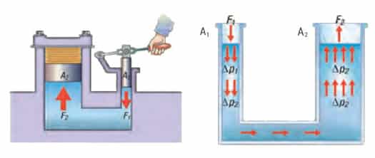 ¿Qué es el equilibrio de Pascal? Aprende ciencia experimentando en el MUDIC Vega Baja ¿Qué es el equilibrio de Pascal? Aprende ciencia experimentando en el MUDIC Vega Baja