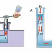 ¿Qué es el equilibrio de Pascal? Aprende ciencia experimentando en el MUDIC Vega Baja ¿Qué es el equilibrio de Pascal? Aprende ciencia experimentando en el MUDIC Vega Baja