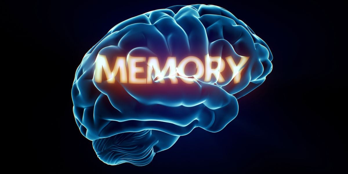 Al morir, ¿preservarías los recuerdos de tu cerebro?