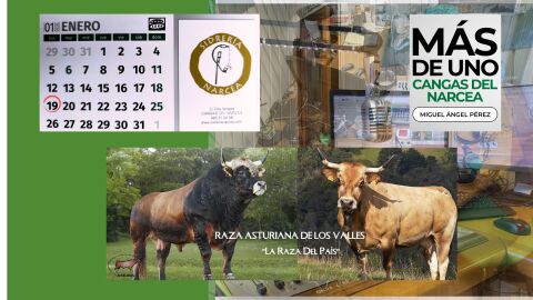 PORTADA DE ASEAVA PORTADA DE ASEAVA