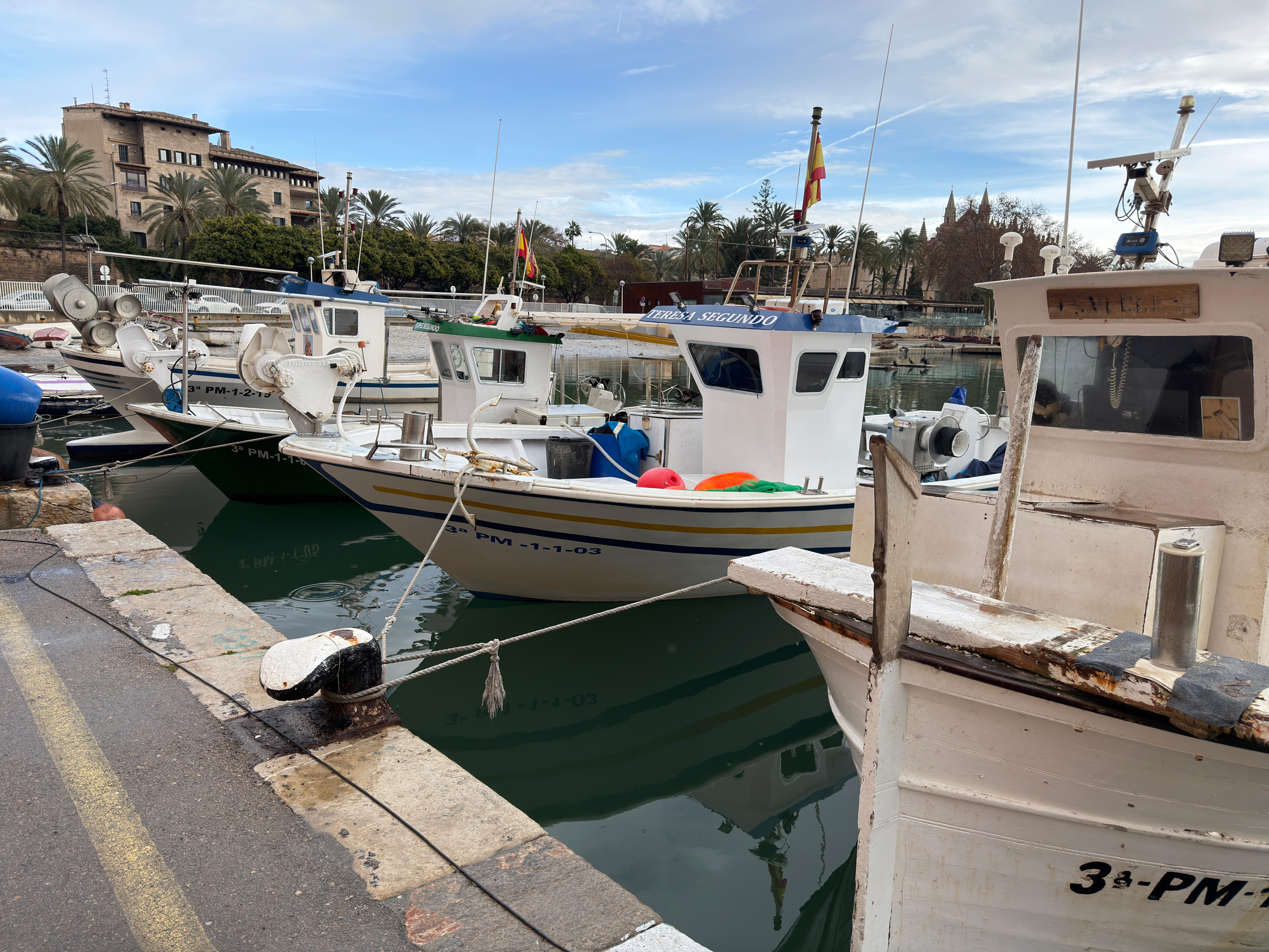 La flota pesquera de Baleares amarrada ante el sin sentido de la normativa europea La flota pesquera de Baleares amarrada ante el sin sentido de la normativa europea