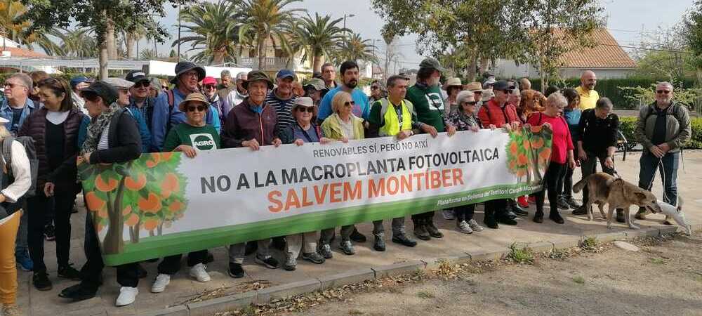 Canet exige a la Generalitat Valenciana que reubique la macrocentral fotovoltaica prevista en Montíber Canet exige a la Generalitat Valenciana que reubique la macrocentral fotovoltaica prevista en Montíber