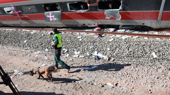 Un agente con un perro entrenado trabaja en el lugar del accidente, a 20 de enero de 2026, en Adamuz