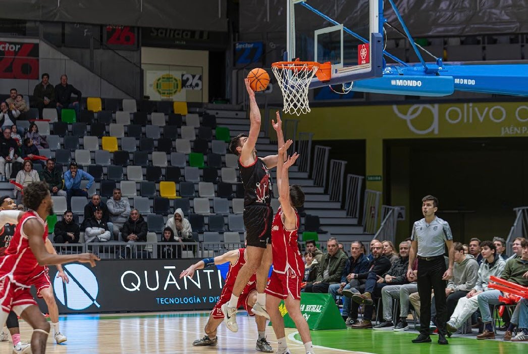 Victoria balsámica para el Círculo Victoria balsámica para el Círculo