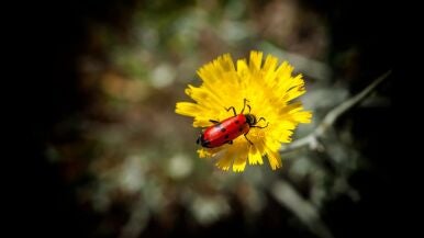 8 menos 20 - Jos&eacute; Manuel L&oacute;pez Martos