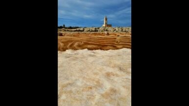 Flor de sal - Antonio Bar&oacute;n Carretero