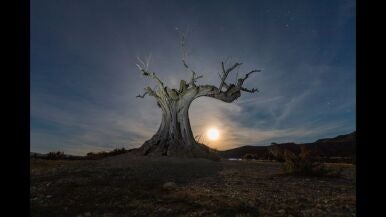 Acunando la luna - Mar&iacute;a Dolores Guerrero Fern&aacute;ndez